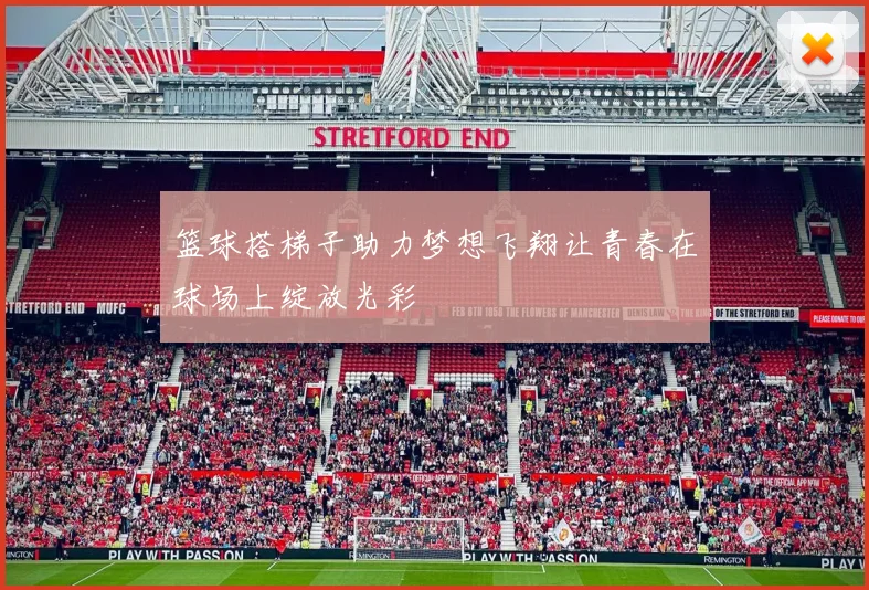 篮球搭梯子助力梦想飞翔让青春在球场上绽放光彩