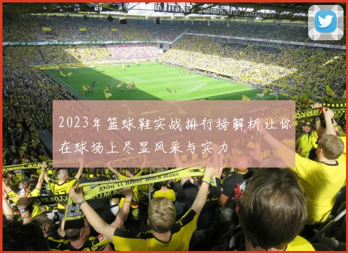 2023年篮球鞋实战排行榜解析让你在球场上尽显风采与实力
