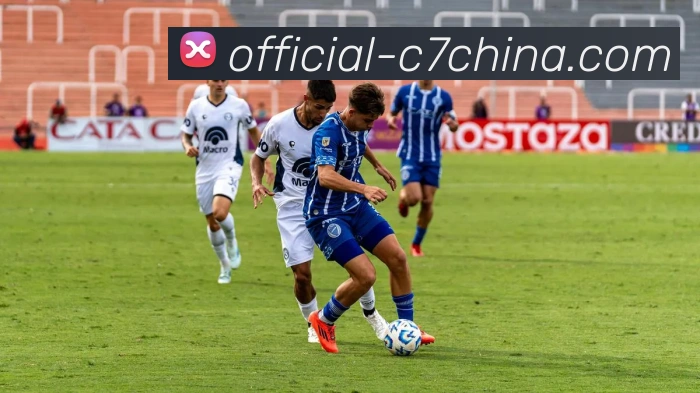 C7娱乐APP 体育赛事宣传图